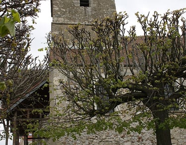 Photo de l'église Saint-Denis à Drocourt 78440 - ATZ Diagnostic Immobilier