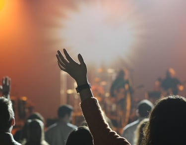 Fans in a crowd at music show