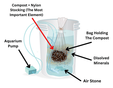 How Compost Tea Works