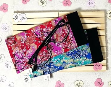 2 étuis à lunettes