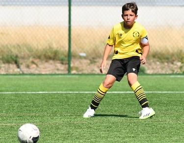 Asimilare - Start Suceava