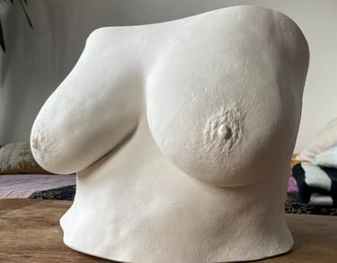Moulage poitrine