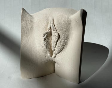 Vulve en plâtre sur fond blanc