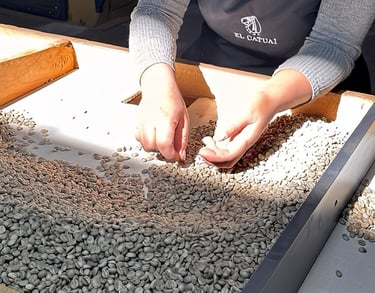 Coffee selection tables