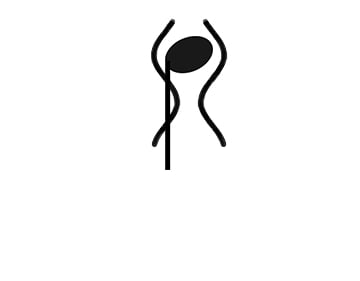 silver squid music