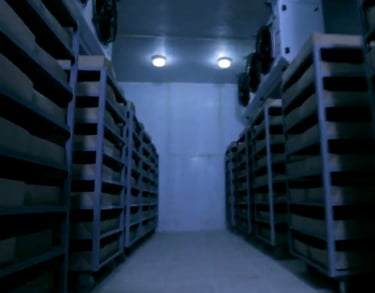 Chicken Feet Exports