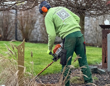 Professional gardener using a hedge trimmer for garden maintenance and shrub care.