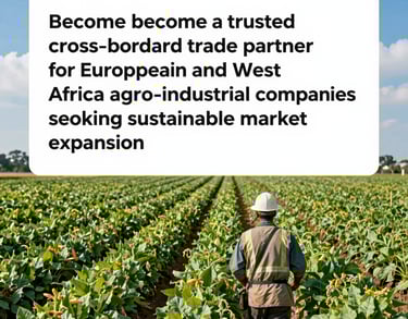 a man riding a skateboard down the side of a ramp