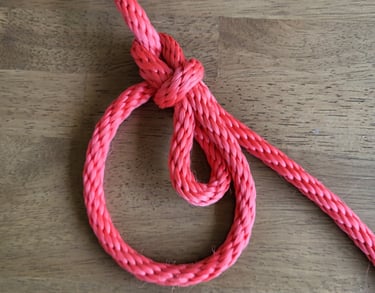 Bowline with a Bight tied in red rope