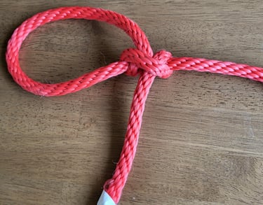 Tautline Hitch showing crossover structure