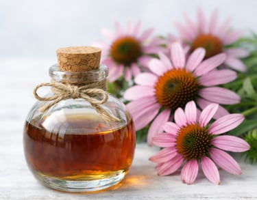 Echinacea Extract