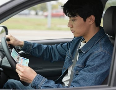 black blue and yellow textile
