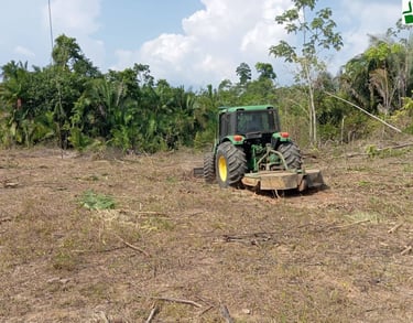 monitoramento de fauna e afugentamento 