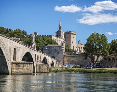 Bridge Avignon Private Tours With Driver