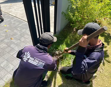 การกำจัดวัชพืช