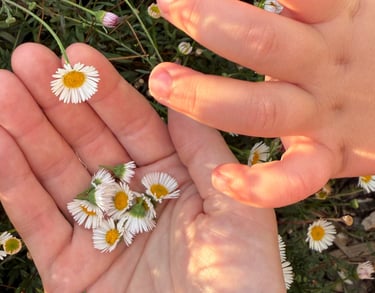 Soft Strength Mother supports mothers using simple, grounding mindfulness and movement.