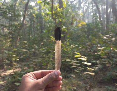 Mansab Sayyad conservation storyteller Bengaluru
