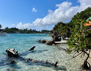 Nature enhances Reiki practice.