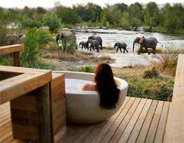 wellness safari lodge in South Africa hosting wellness retreats