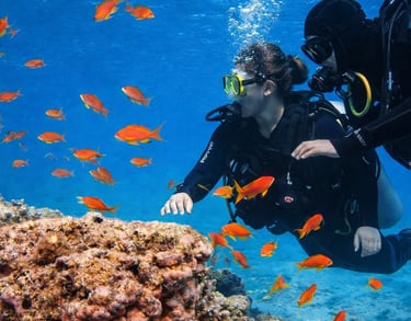 Scuba divers exploring a vibrant coral reef surrounded by schools of orange tropical fish.