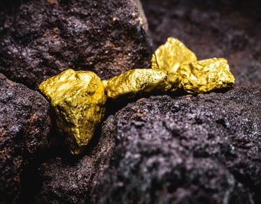 Natural raw gold nuggets resting on dark volcanic rock minerals in a close-up shot.