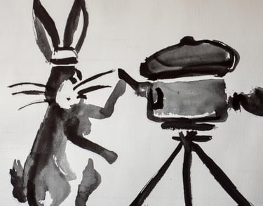 Un conejo está filmando