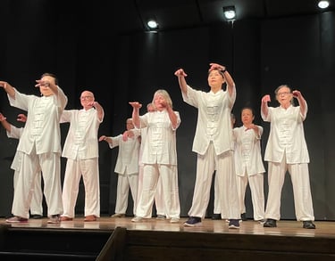 Tai Chi performance