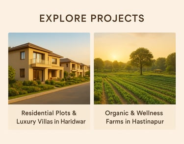Explore RealProft Projects