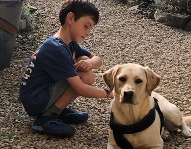 Traiter la peur du chien en thérapie animale Namur région