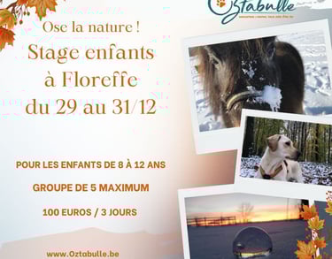 stage enfants Floreffe Namur Noel 2025