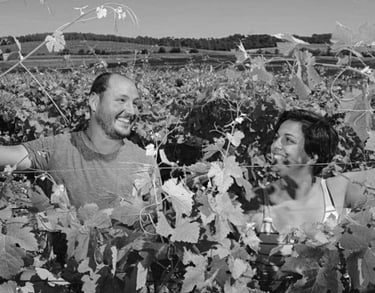 chai émilien grès Montpellier