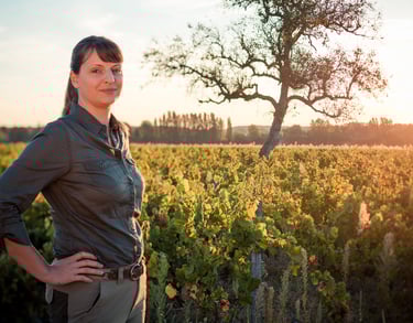 isabelle pangault l'affût