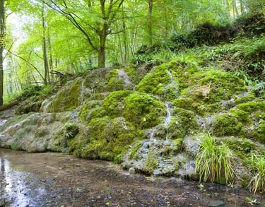 Waterfall and springs