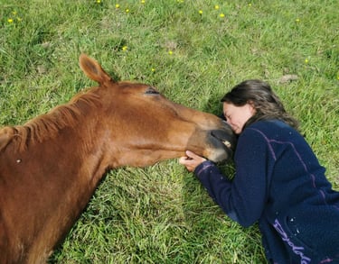 equine physiotherapy 