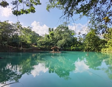 Urban Planning - Feasibility Study and Environmental Impact Assessment - EIA