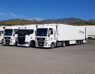 Cotravelma Vélez Málaga