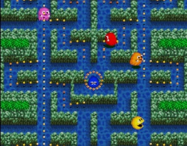 Pac-Man Hedge Maze Craze