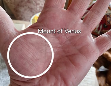 the mount of venus in the palm of a hand