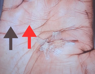 Rob hamilton author and palmist tarot reader in Northwich