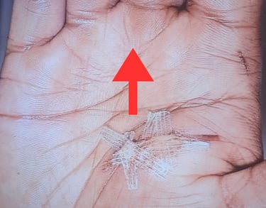 Rob hamilton palmist tarot reader in Northwich, Cheshire