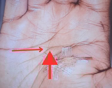 Rob hamilton palmist and tarot reader decodes a murders palm