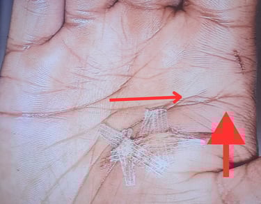 Palmist and author rob hamilton decoding murderers hand