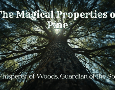 The Magical Properties of Pine: Whisperer of Woods, Guardian of the Soul