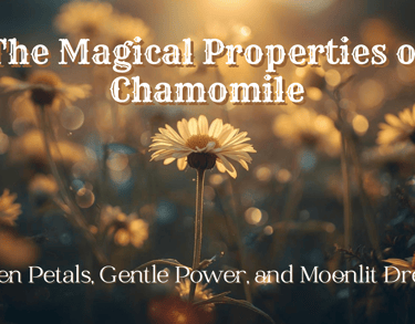 The Magical Properties of Chamomile  Golden Petals, Gentle Power, and Moonlit Dreams