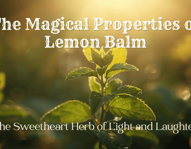 The Magical Properties of Lemon Balm — The Sweetheart Herb of Light and Laughter