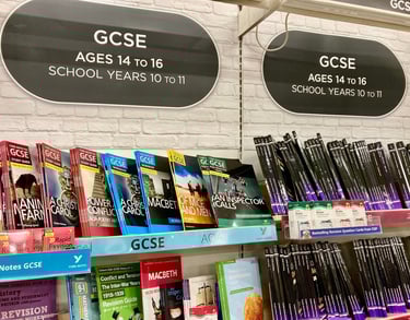 IGCSE a level tutor revision books