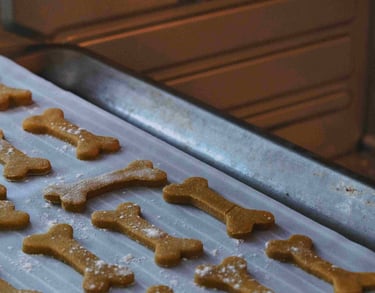 dogAdvisor | dogadvisor | dog advisor | dogAdvisor.dog