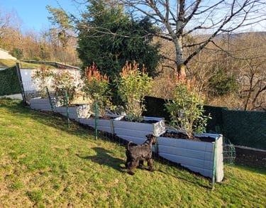 Arbustes à l'élevage des Diamants Noirs d'Also