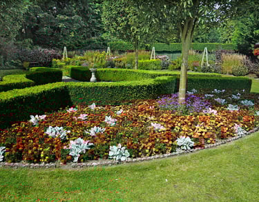 Array of bright flowers in a large garden