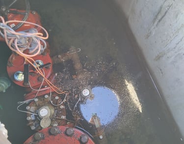 leak in a commercial water vault